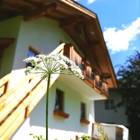 Auenheim Appartement